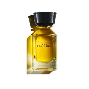 Oman Luxury Oud Aquilaria