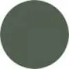 173 EVER GREEN
