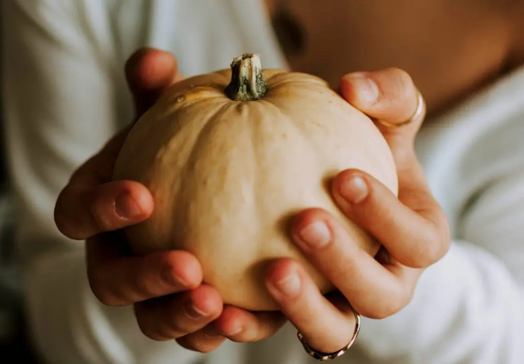 proprietà zucca
