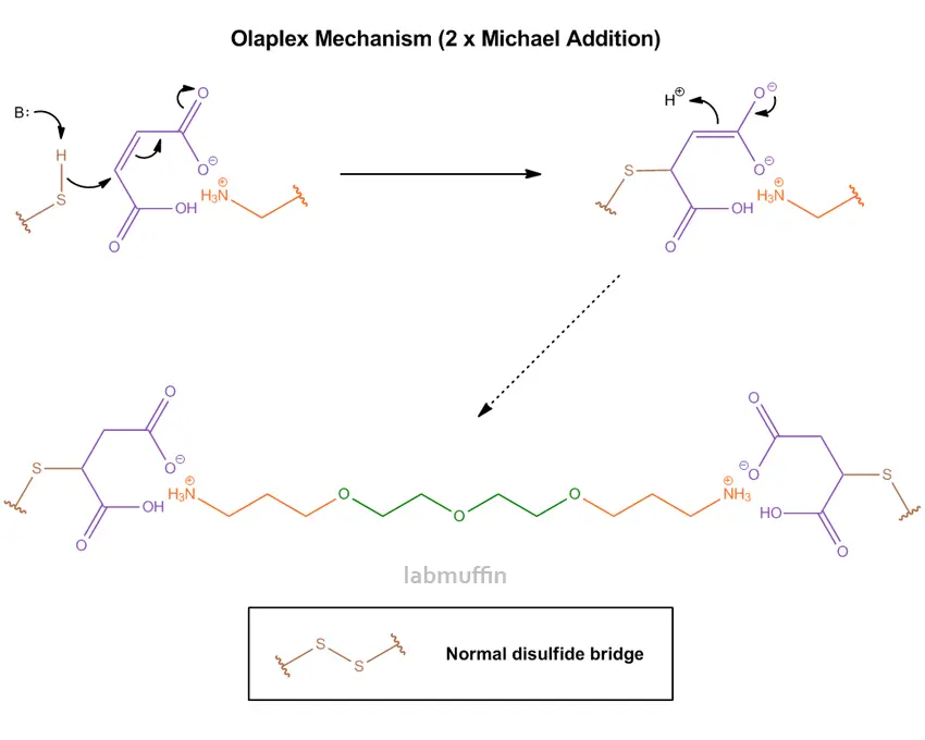 olaplex-molecola