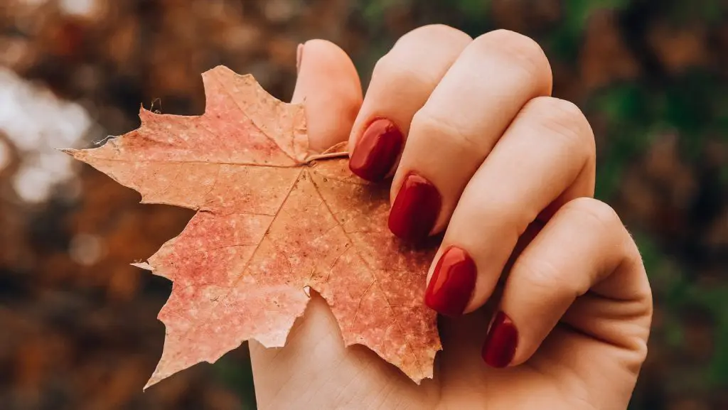 11 | Charme Parfumerie de Luxe Molfetta Colori autunnali anche sulle unghie