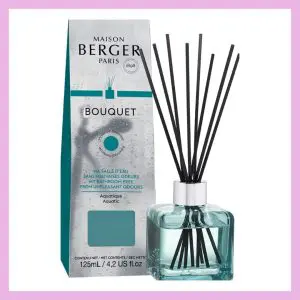 Maison Berger Paris: Bouquet Cube Anti-Odori per il Bagno