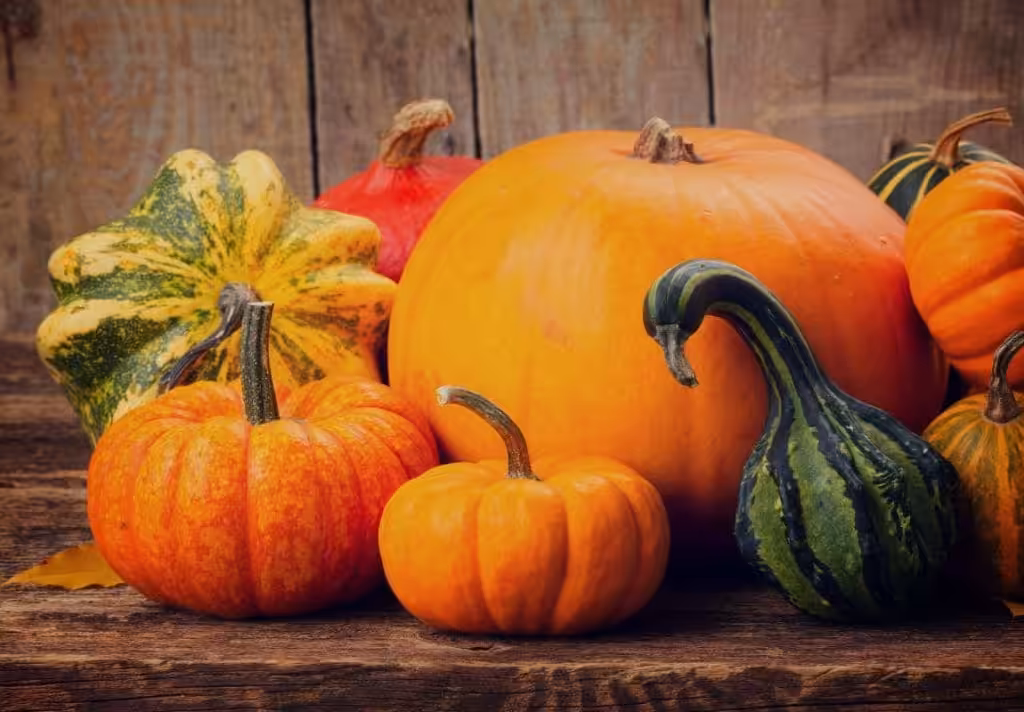 proprietà cosmetiche zucca