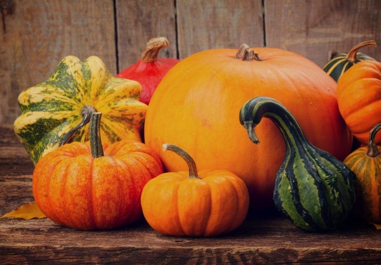 Тыква род. Zarin iran porcelain тыква. Тыква сорт синдерелла. Тыква медовый десерт. Courge.