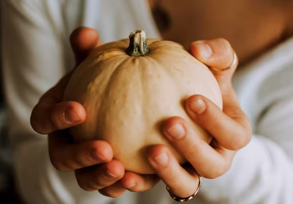 proprietà zucca