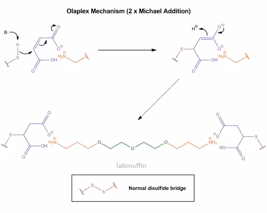 olaplex-molecola
