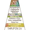 Abbate Y La Mantia, Pacifique - Kokè