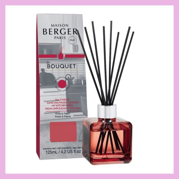 Maison Berger Paris: Bouquet Cube Anti-Odori per la Cucina